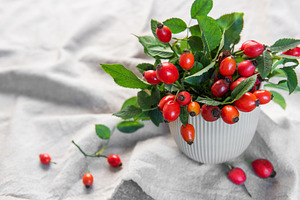 Rose hips spilling from a vase create a vibrant display of autum, a Food & Drink Photo by Olena Rudo