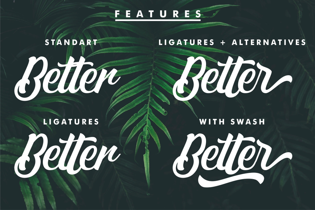Matane Typeface + Swash preview 7