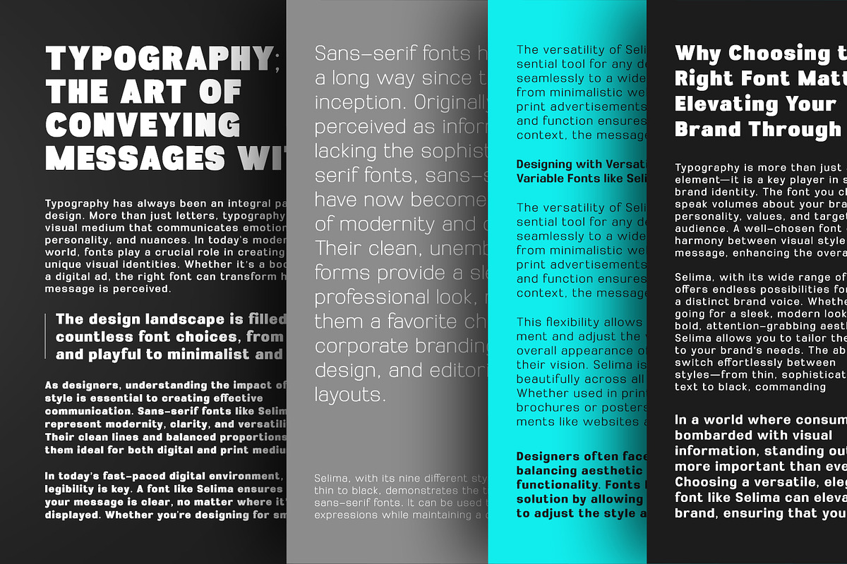 Selima, a Sans Serif Font by din-studio.com (Photo 3 of 14)