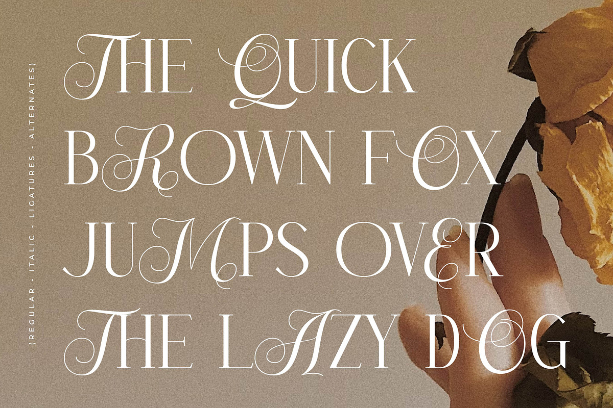Menasha Brown New Hybrid Typeface, a Serif Font by Storytype Studio (Photo 3 of 15)