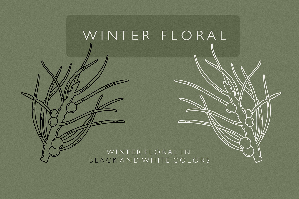 WINTER FLORAL Christmas line art set, a Decorative Illustration by Madiwaso (Photo 5 of 9)