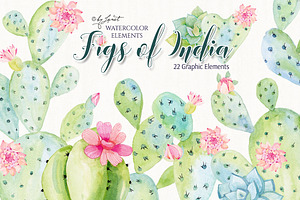 Figs of India Watercolor 