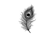 Peacock Feather Silhouette Bundle, an Illustration by jahid234 (Thumbnail 31 of 31)