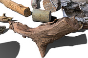 13 Tree Logs, an Environmental 3D Model by Beatheart Creative Studio (Thumbnail 19 of 37)
