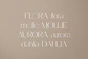 Stefania - font duo + more and more, a Script Font by VP Fonts (Thumbnail 14 of 29)