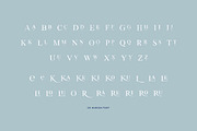 De Hudson, a Script Font by vuuuds (Thumbnail 14 of 14)