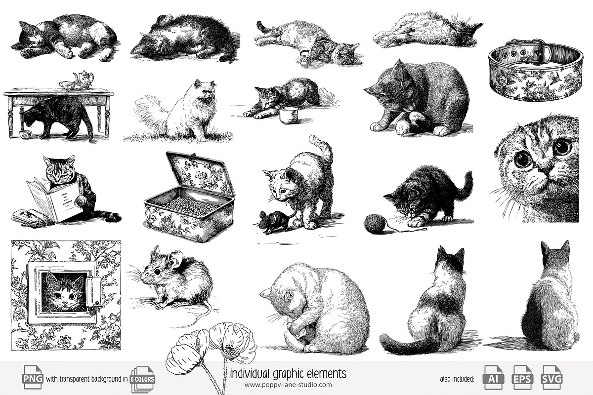 95 line art Cats clip art, an Animal Illustration by Poppy Lane Studio (Photo 5 of 12)