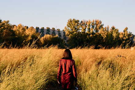 A young woman strolling through the countryside with her vintage camera at suns, a Holiday Photo by YossSabalet