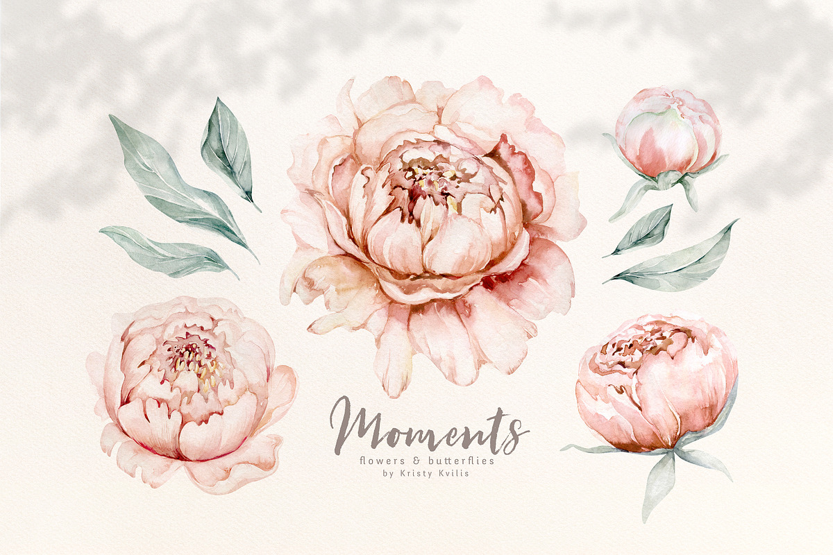 Watercolor peonies and butterflies, an Animal Illustration by Peace ART (Photo 2 of 14)
