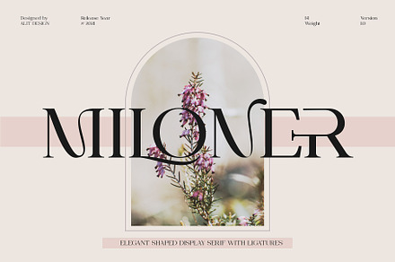 Miloner Typeface, a Serif Font by alit design