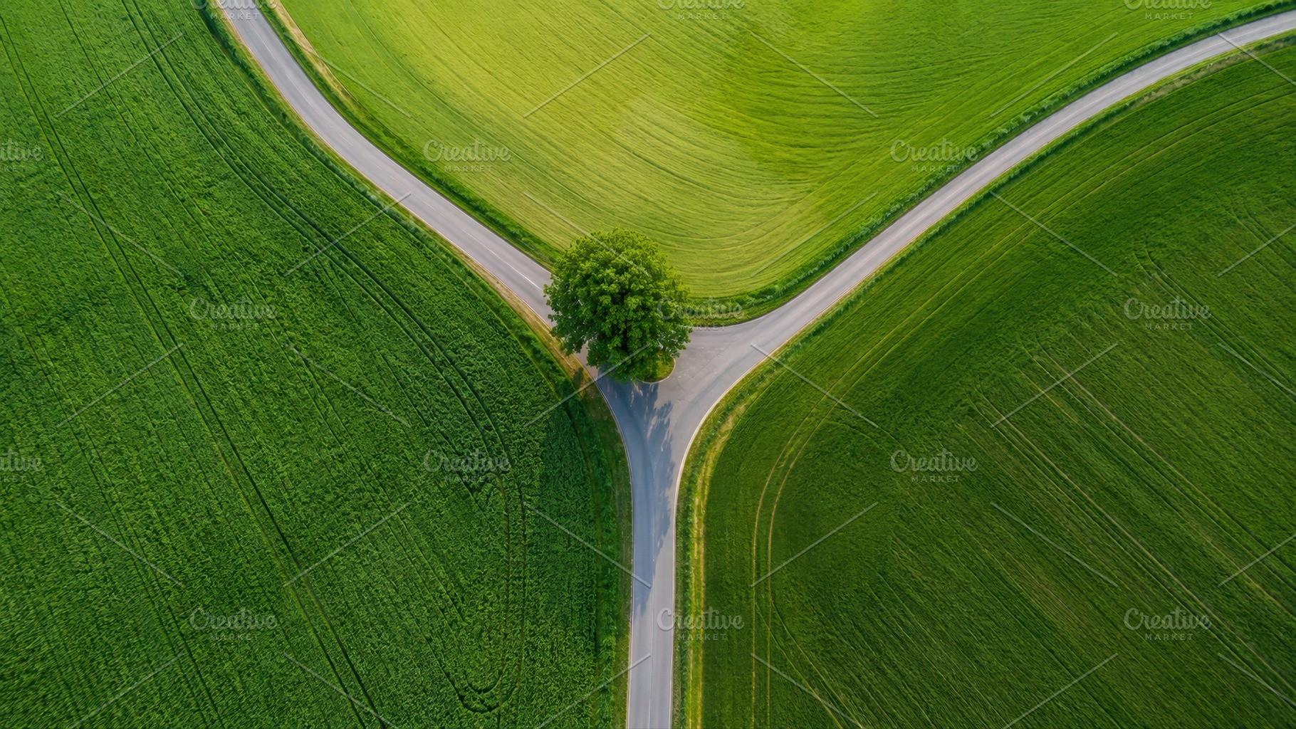 Green fields with a road junction, a Photo by Beautiful things