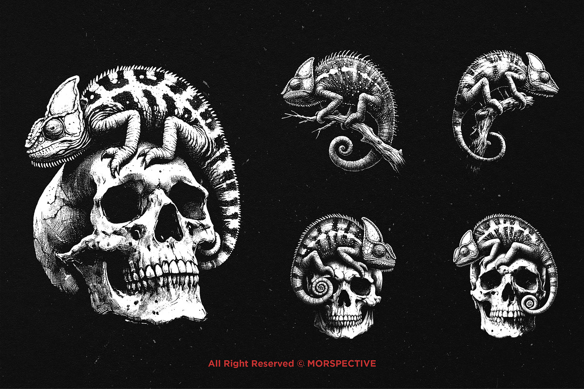 10 Bundle Dark Art Chameleon Lizard, an Illustration by Morspective (Photo 3 of 7)