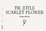 TT Ricordi, a Serif Font by TypeType (Thumbnail 13 of 15)