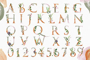 Houseplant Botanical Alphabet Letter, an Illustration by Cacacolors Clipart (Thumbnail 2 of 4)