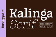 Kalinga | 91 Style Font, a Serif Font by Bosstype Studio (Thumbnail 15 of 15)