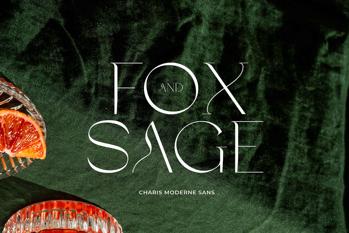 Charis - Moderne Sans, a Sans Serif Font by Sans & Sons (Photo 6 of 7)