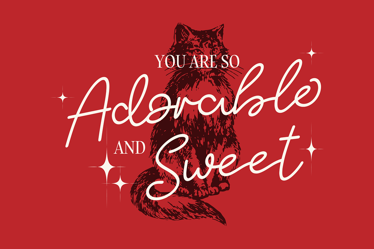 Velmira - Signature Script Typeface, a Font by Indotype Foundry (Photo 5 of 10)