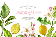Lemon Garden Watercolor Fruits Set, a Food Illustration by Akvarelldesign (Thumbnail 1 of 4)