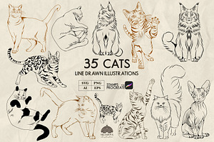Cats Line Art + Procreate