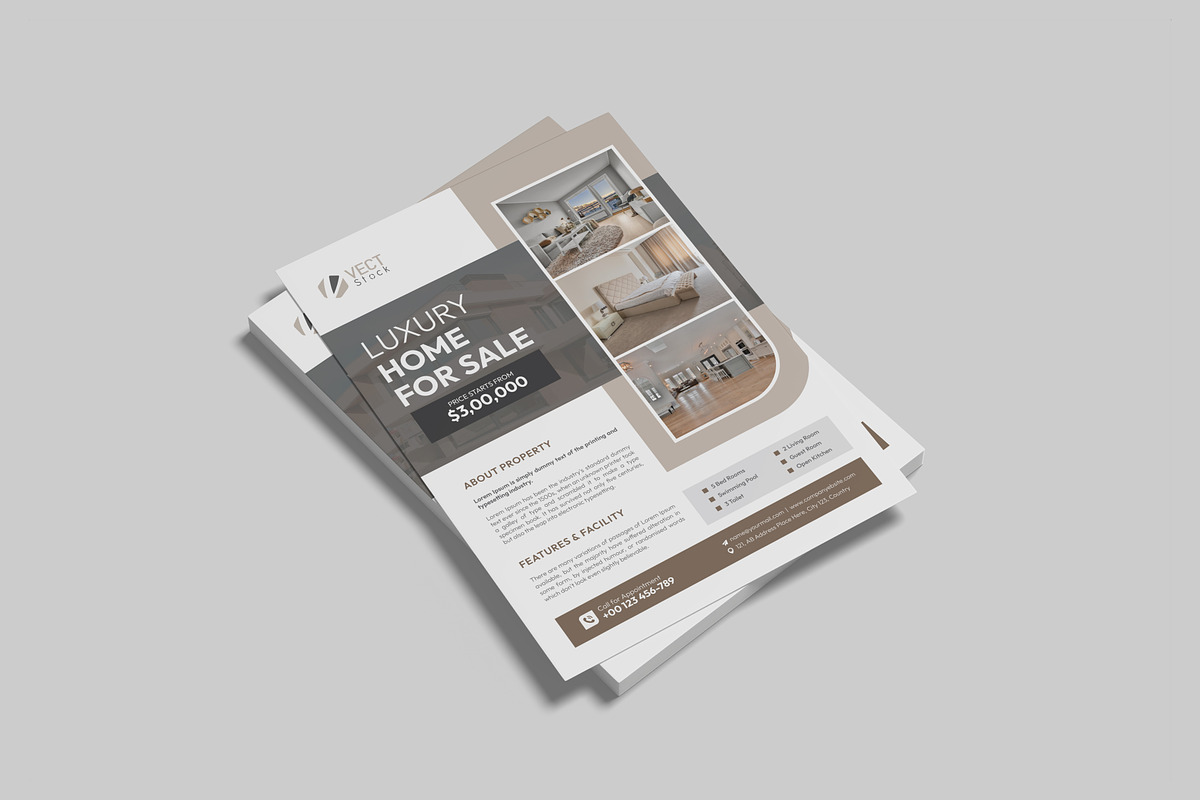 Luxury Home Sale Flyer, a Flyer Template by VectStock (Photo 3 of 5)