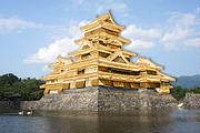 Gold Paint Photo Effect V02, an Action Add-On by yantodesign (Thumbnail 14 of 15)