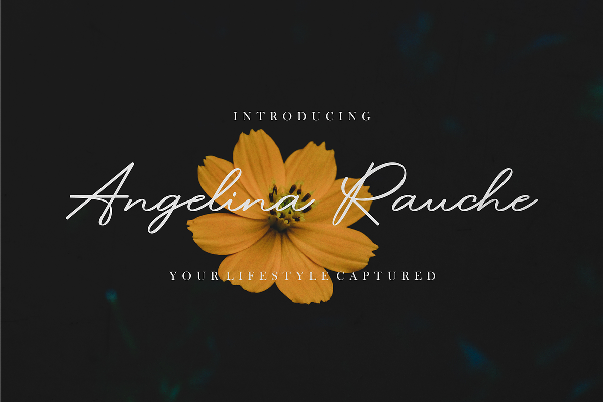 Pitaloka Stylish Signature Font, a Script Font by Naufal Labs (Photo 6 of 10)