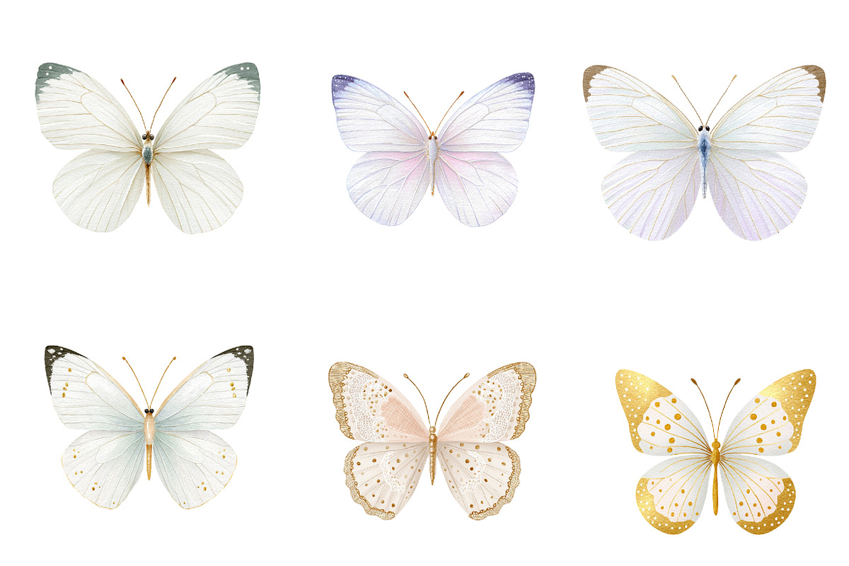 watercolor butterfly clipart, an Illustration by CreationArt (Photo 5 of 5)