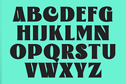 Lucentia - Modern Bold Display, a Sans Serif Font by Lettertype Studio (Thumbnail 12 of 16)