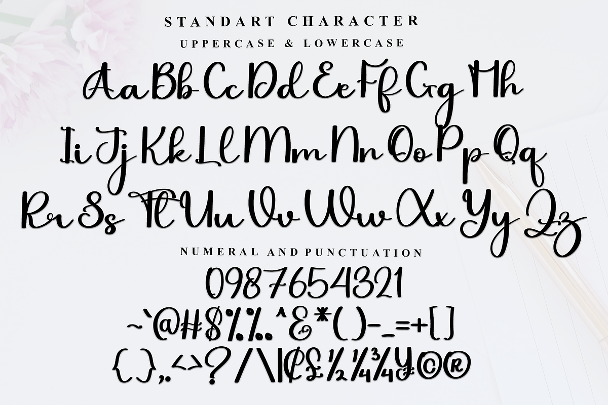 Wonderful Signature, a Handwritten Font by InermediaSTUDIO (Photo 7 of 7)