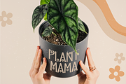 June Bloom | a cute all caps font, a Sans Serif Font by TateMadeModern (Thumbnail 7 of 11)
