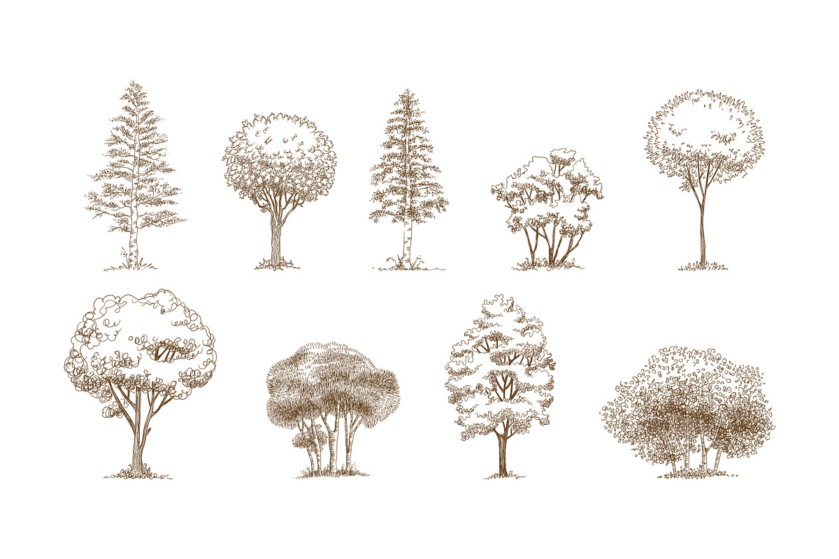 Forest trees realistic hand drawn, a Texture Illustration by RoMashkaVector