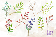Cameras & plants. Watercolor set, an Illustration by Nastilustra (Thumbnail 4 of 8)