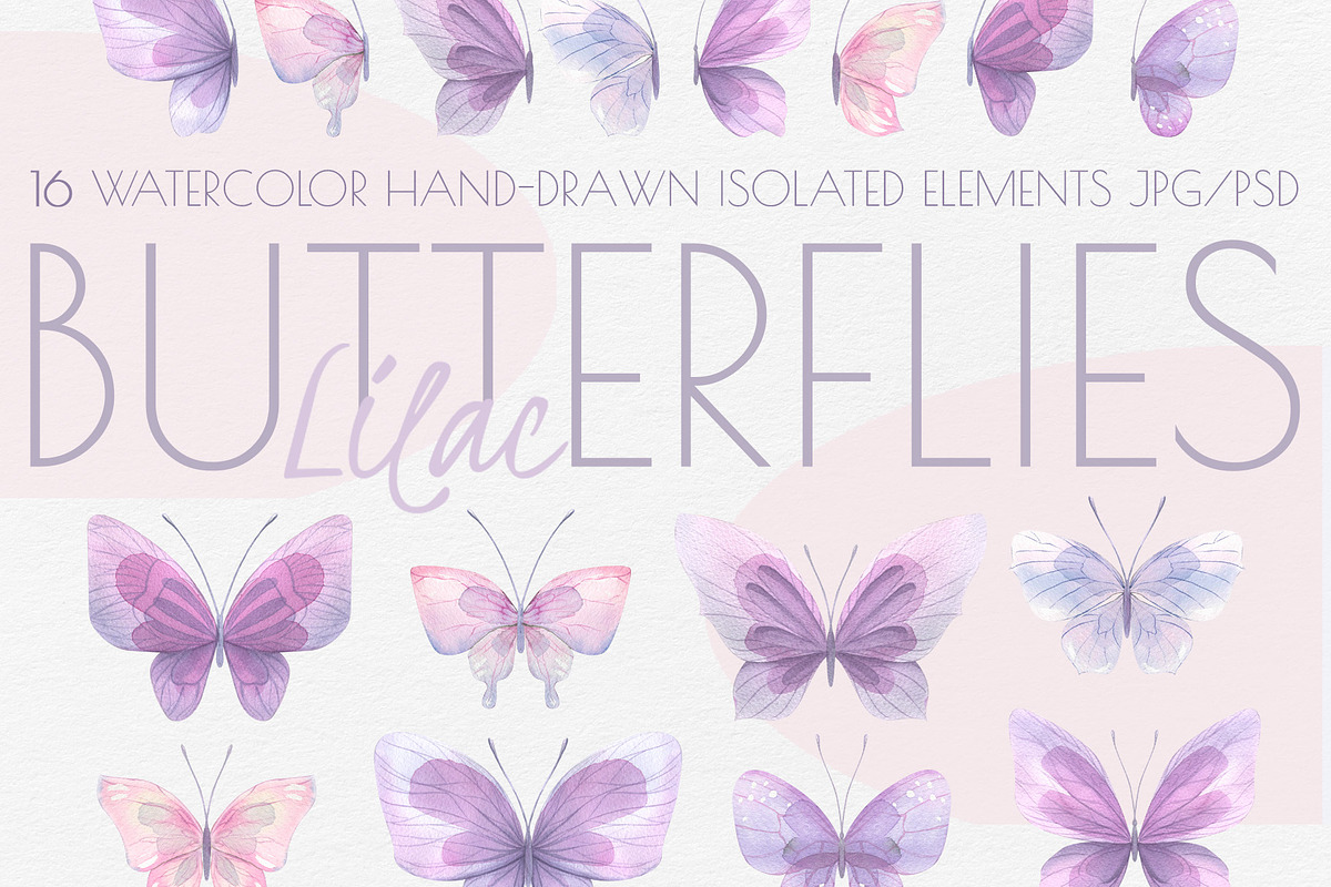 Butterflies Lilac Watercolor & Cats, an Illustration by NATASHA CHU (Photo 1 of 4)