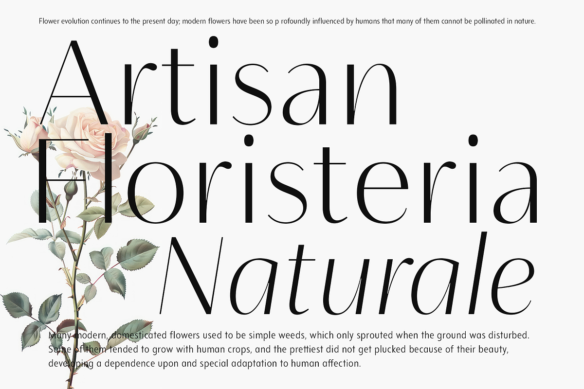 Neue Mylon - 21 Fonts, a Sans Serif Font by Nasir Udin (Photo 2 of 14)