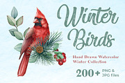 Winter Birds Watercolor Clipart, an Animal Illustration by AnitaPol (Thumbnail 1 of 14)