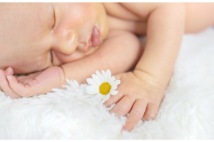 Newborn baby sleeps with chamomile, a Person Photo by yanadjana