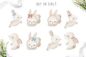 Baby Bunny Gender Reveal Clipart