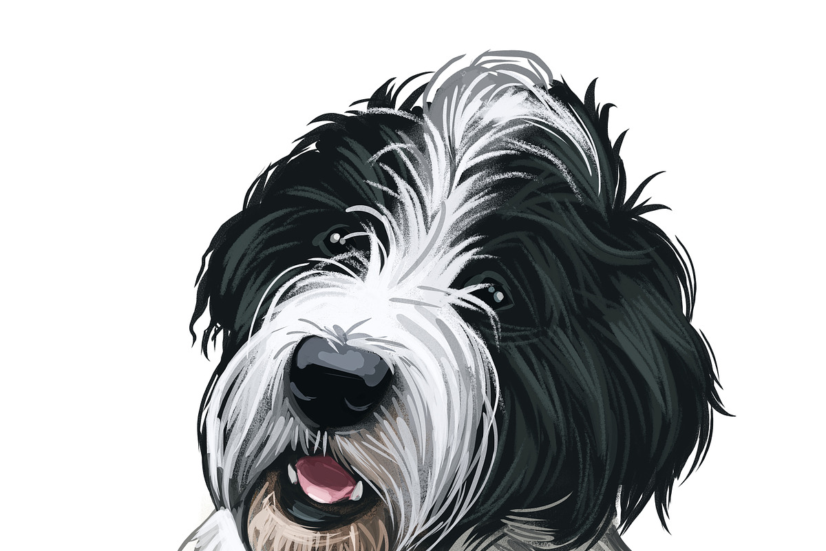 Poodle Cross Breeds 27 Dogs/Puppies, an Animal Illustration by Dneprstock (Photo 27 of 27)