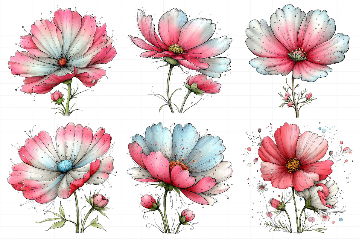 Spring Cosmos Flower Clipart, an Illustration by Daily.Designs (Photo 6 of 8)