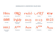 Hermann, a Serif Font by W Type Foundry (Thumbnail 4 of 16)