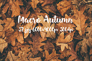 Macro Autumn photo bundle, a Templates & Theme by ApertureVintage (Thumbnail 21 of 21)