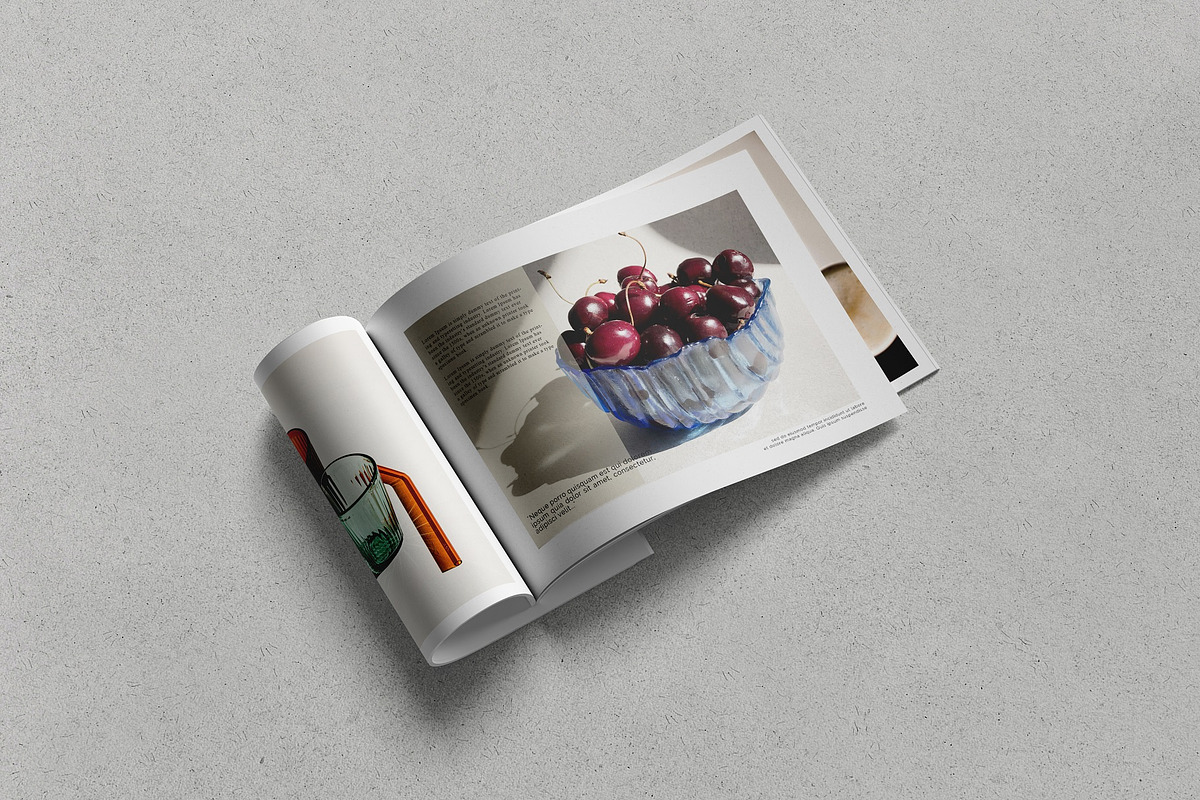 Landscape Magazine /brochure Mockup, a Books & Magazine Mockup by Tahtagraphic (Photo 13 of 14)