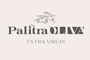 Platinor, a Serif Font by Larin Type Co. (Thumbnail 6 of 13)