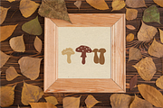 Autumn Botanicals Clipart, a Seasonal Illustration by RaDavCrafts (Thumbnail 8 of 12)