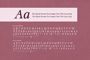 Pink Average - Trendy Modern Serif, a Serif Font by Sarid Ezra (Thumbnail 9 of 9)