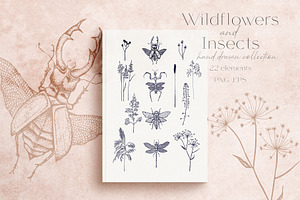 Wildflower and Insect collection