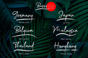 Bassy - Brush Font, a Script Font by erlosDESIGN (Thumbnail 13 of 14)