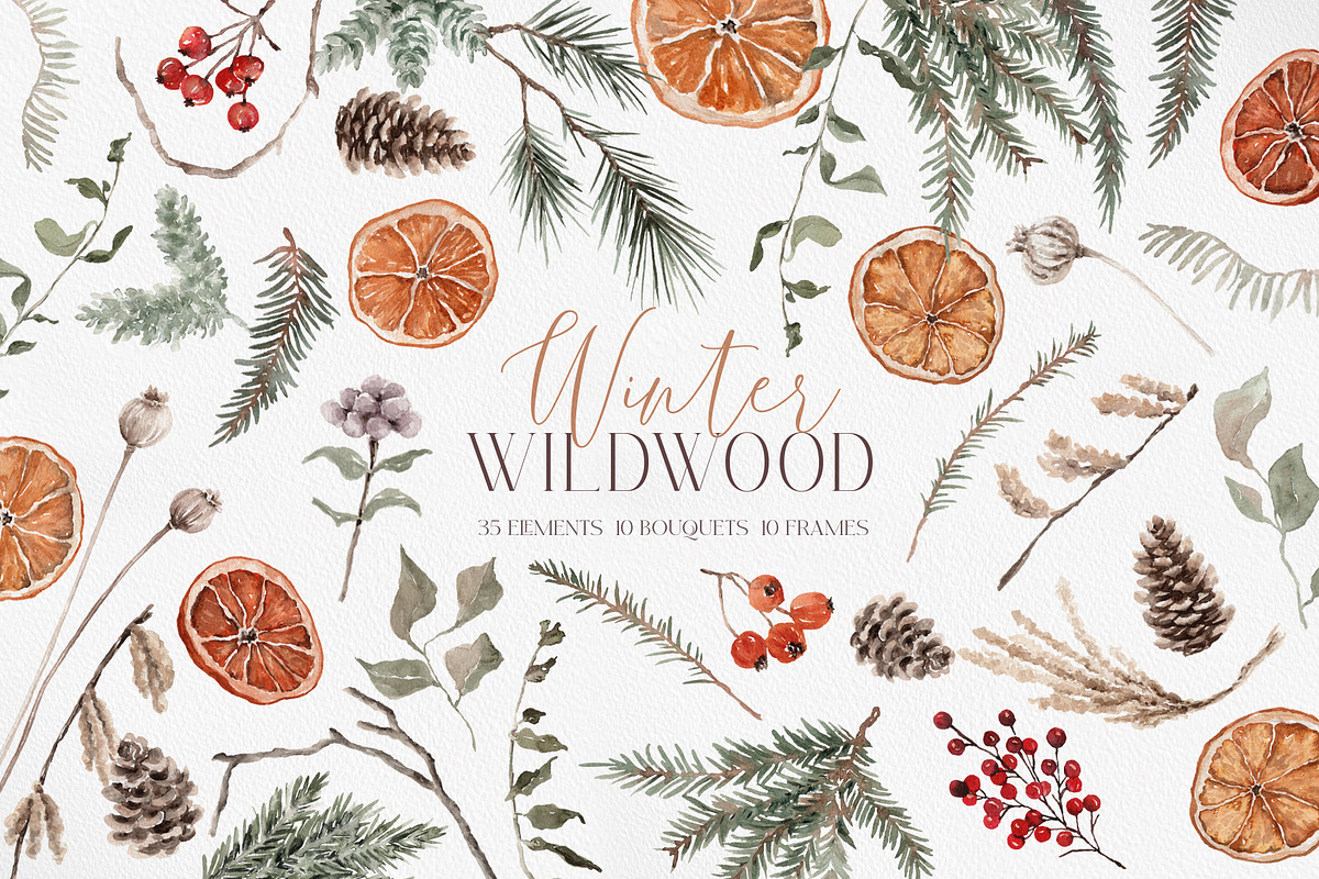 Watercolor Clipart - Winter Wildwood, a Decorative Illustration by Beigetime (Photo 1 of 16)
