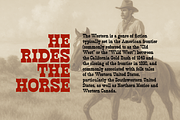 Wild West // Slab Serif Family, a Slab Serif Font by artisans (Thumbnail 2 of 7)
