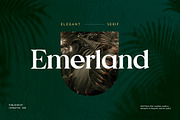 Emerland Serif Font, a Serif Font by UICreative (Thumbnail 1 of 6)
